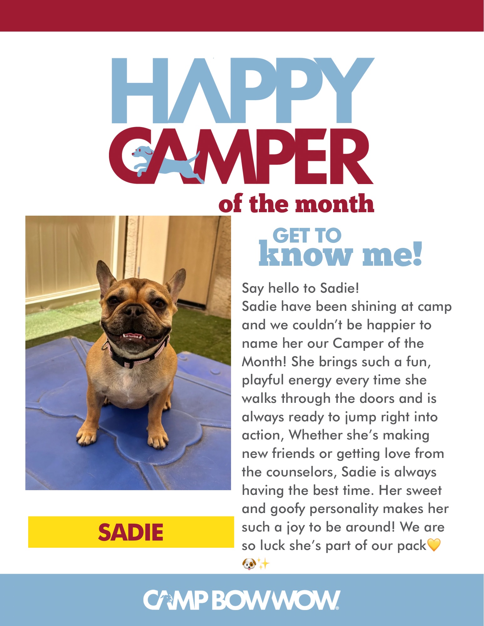 Sadie Camper of the Month
